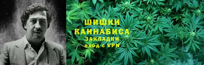 Каннабис Ganja  Карачев 